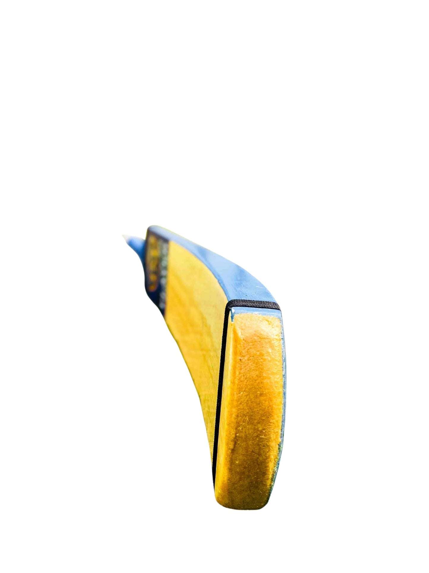 TM Player Edition [ BLUE ]